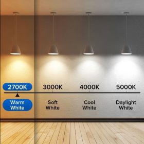 SANSI 60W Equivalent LED Light Bulbs, 22-Year Lifetime,  900 Lumens With Ceramic Technology,  Non-Dimmable, E26 Base, A15 Size, Energy-Efficient (Option: 6pack-2700K)